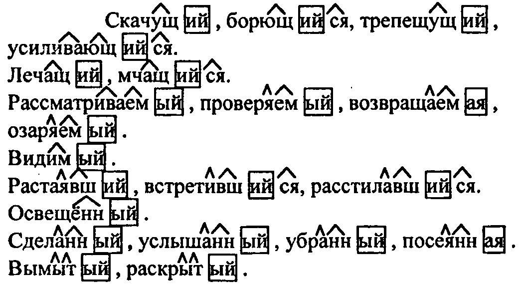 Русский язык 6 класс упр 302. Русский язык 6 класс упражнение 301. Номер 388 по русскому языку 6 класс. Упражнение 388 по русскому языку 6 класс. Причастие 6 класс Разумовская.